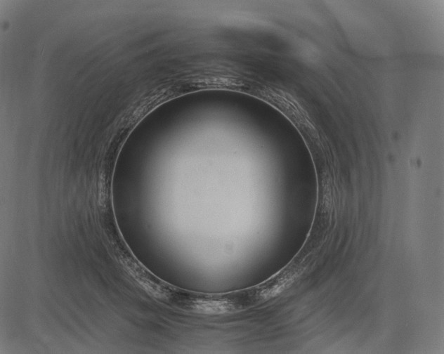 X0000083060457200702161801