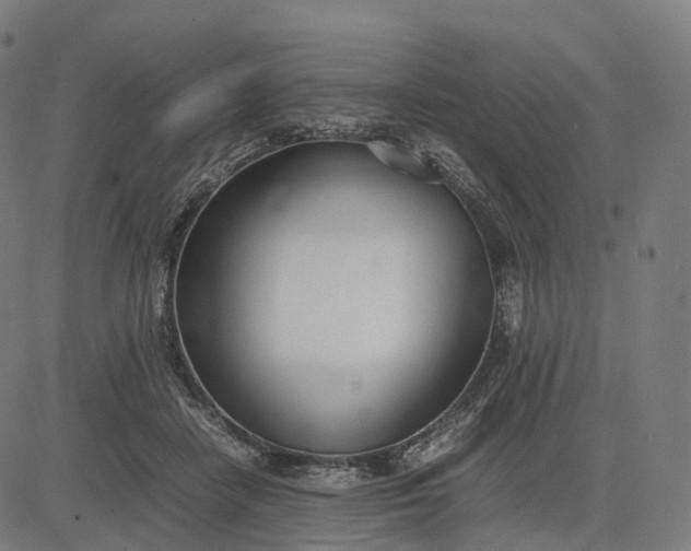 X0000083060458200702161801