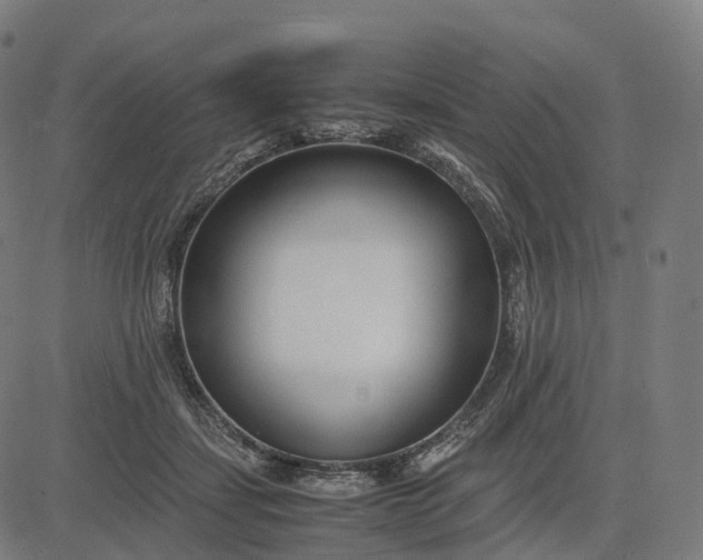 X0000083060459200702161801