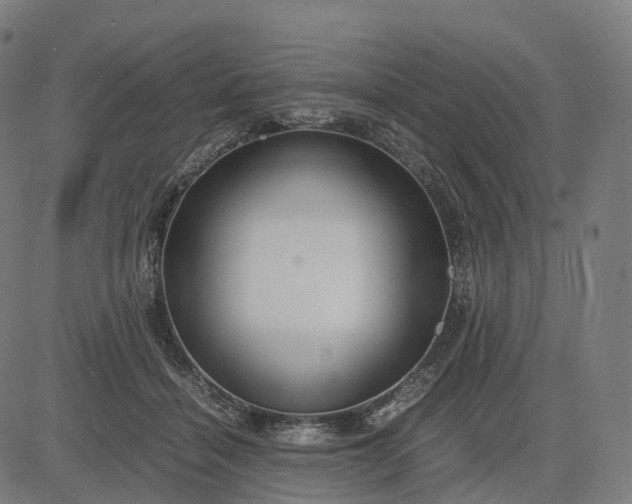 X0000083060460200702161801