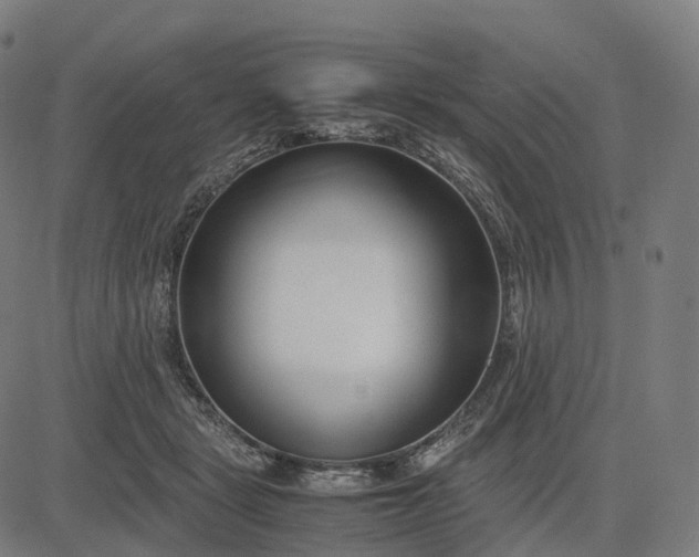 X0000083060461200702161801