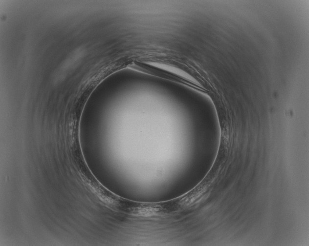 X0000083060462200702161801