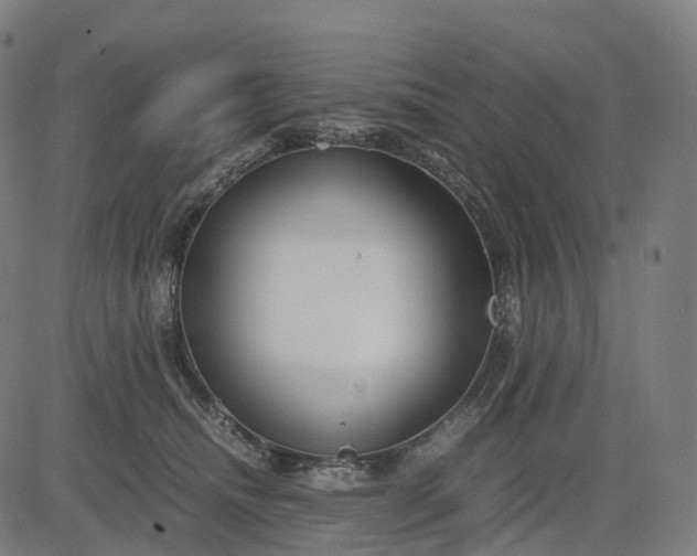 X0000083060468200702161801