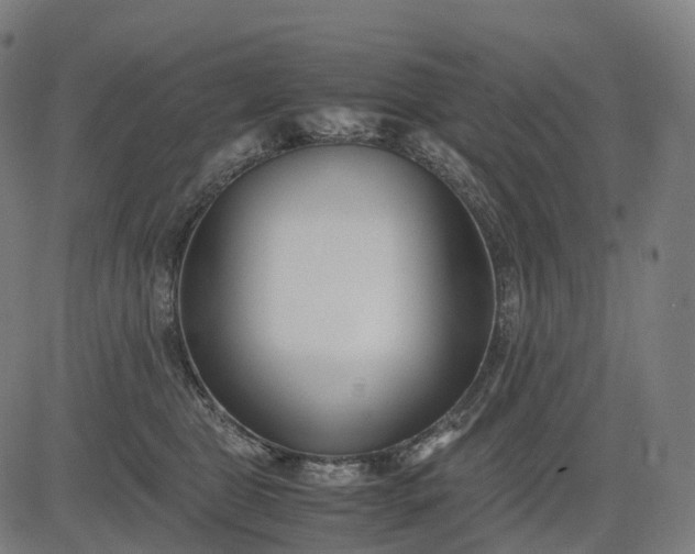 X0000083060469200702161801