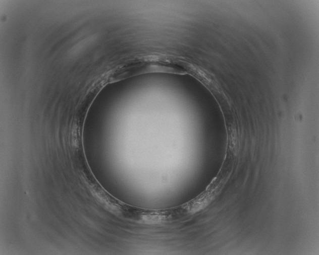 X0000083060470200702161801