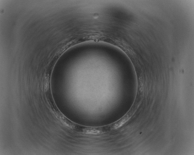 X0000083060471200702161801