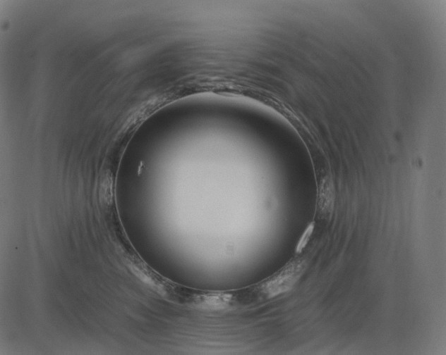 X0000083060474200702161801