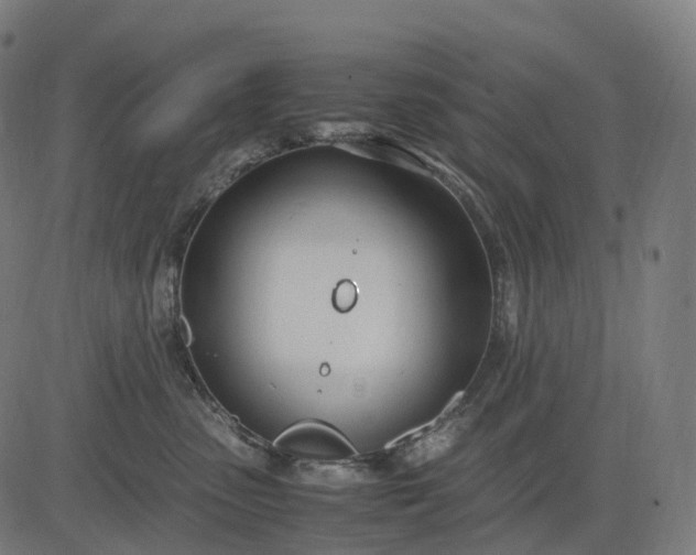 X0000083060475200702161801