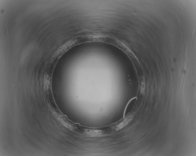 X0000083060476200702161801