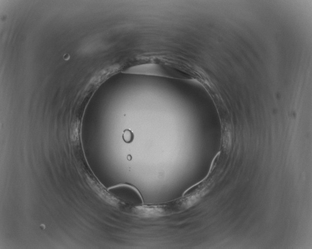 X0000083060477200702161801