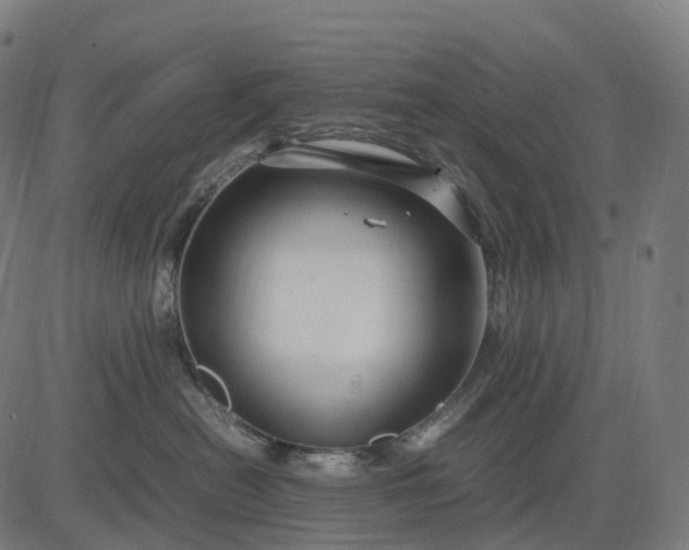 X0000083060478200702161801