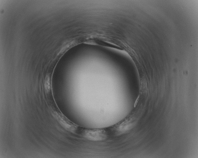 X0000083060479200702161801