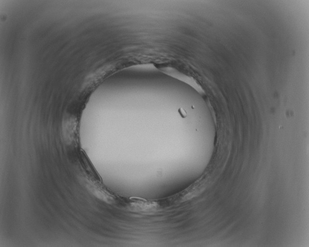 X0000083060480200702161801