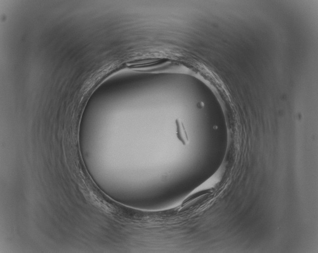 X0000083060481200702161800