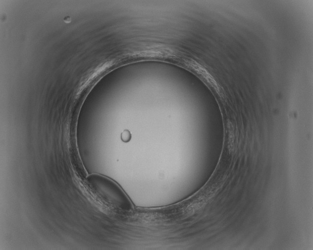 X0000083060482200702161800