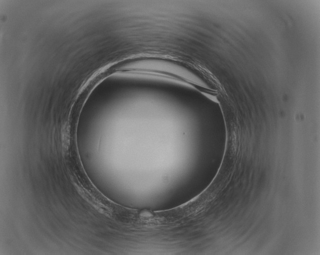 X0000083060484200702161800