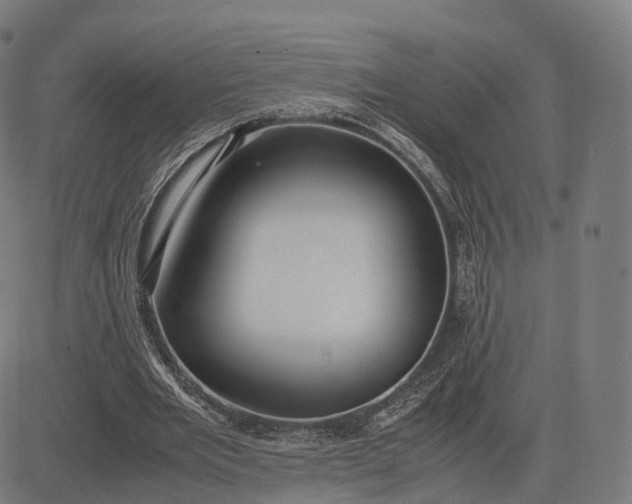 X0000083060485200702161800