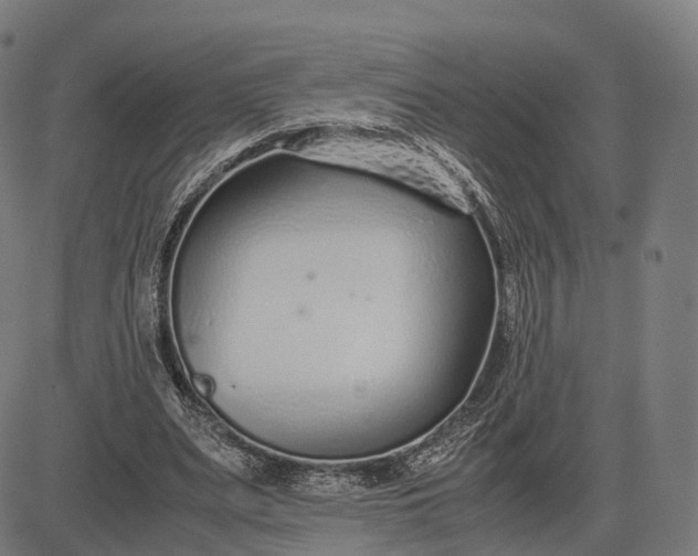 X0000083060487200702161800