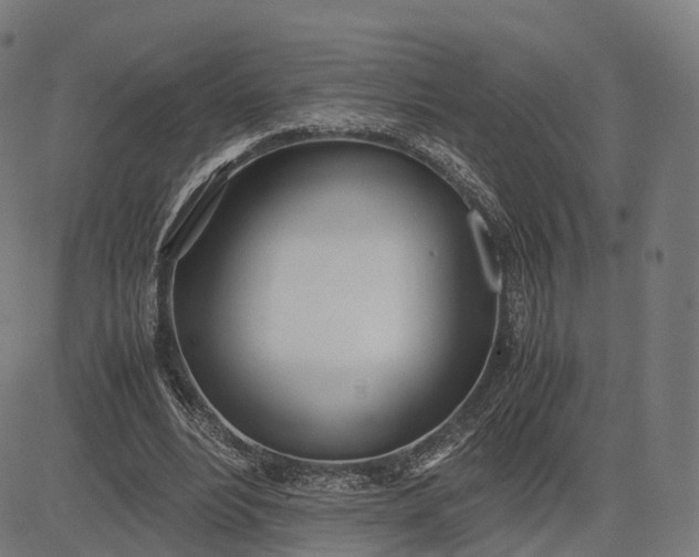 X0000083060488200702161800