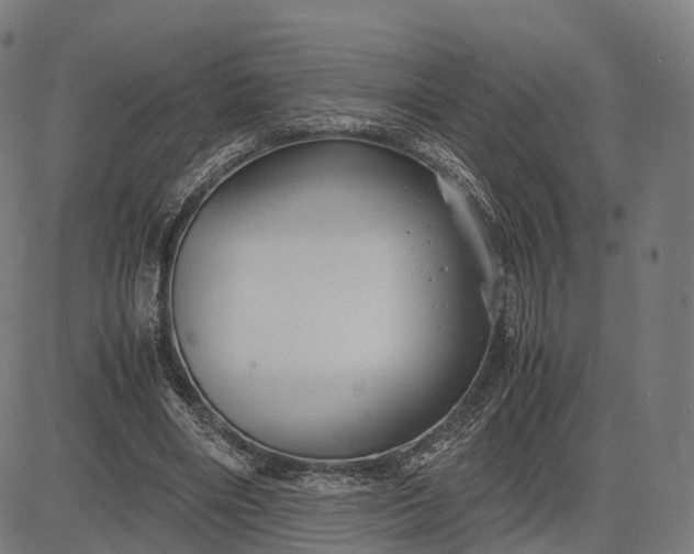 X0000083060490200702161800