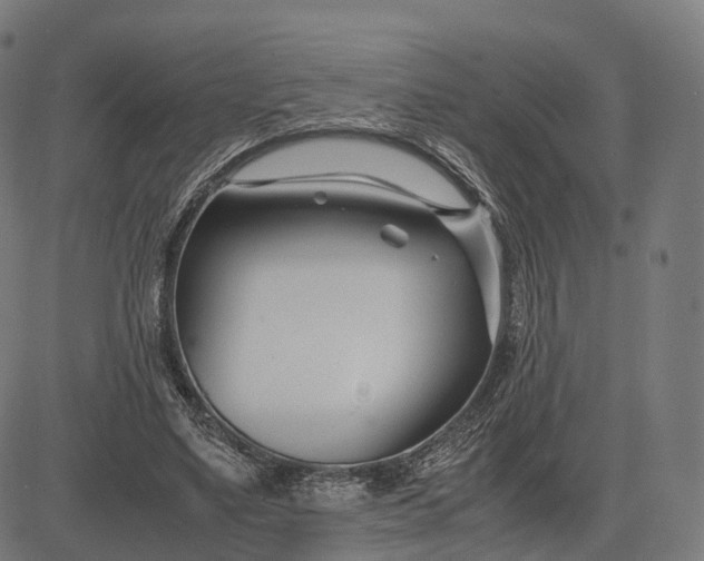 X0000083060491200702161800