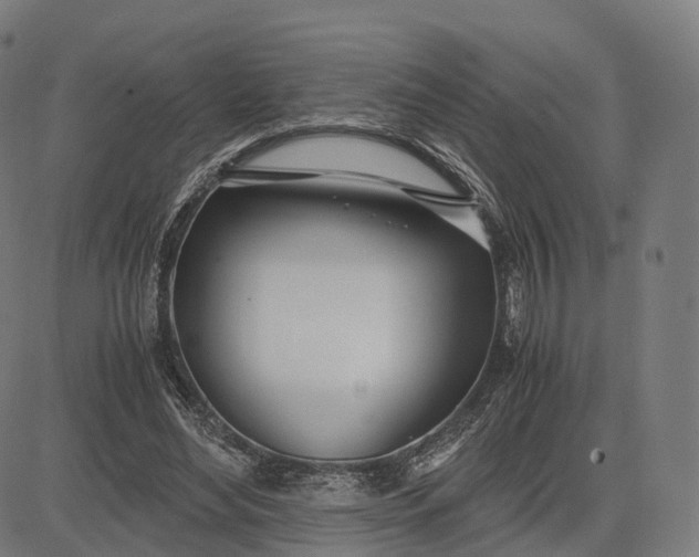 X0000083060492200702161800