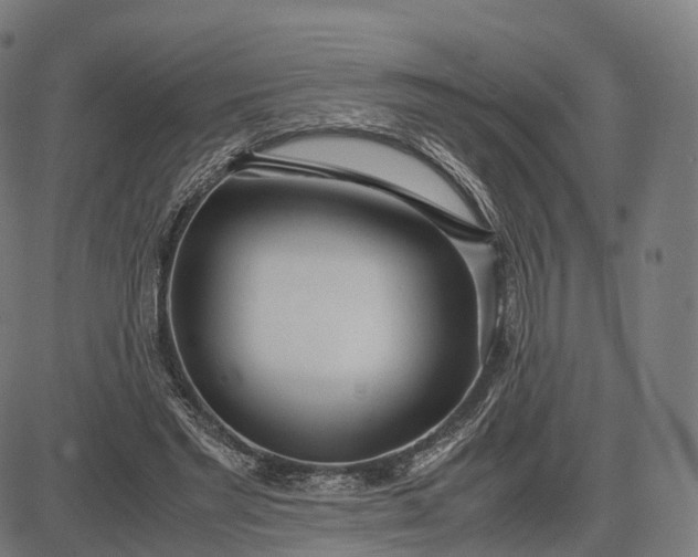 X0000083060493200702161800