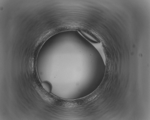 X0000083060494200702161800