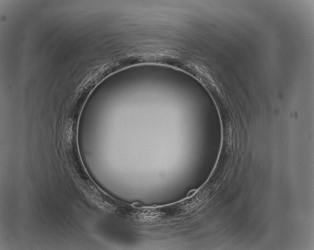 X0000083060495200702161800