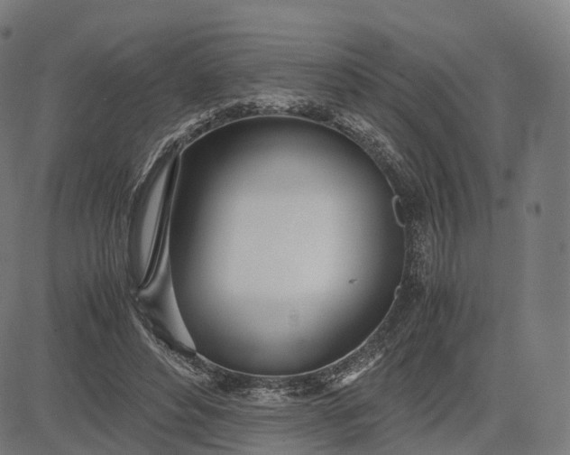 X0000083060496200702161800