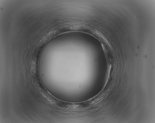 X0000083060497200702161800