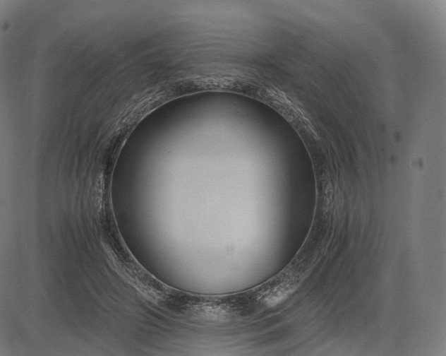 X0000083060498200702161800