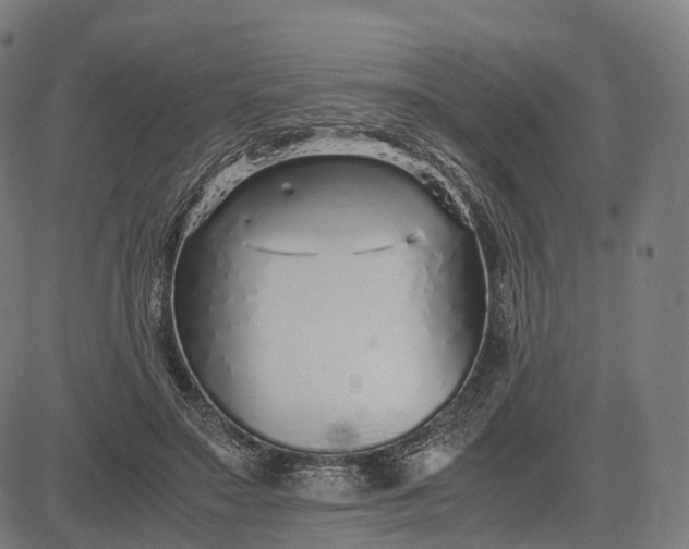 X0000083060499200702161800