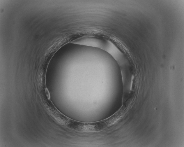 X0000083060501200702161800