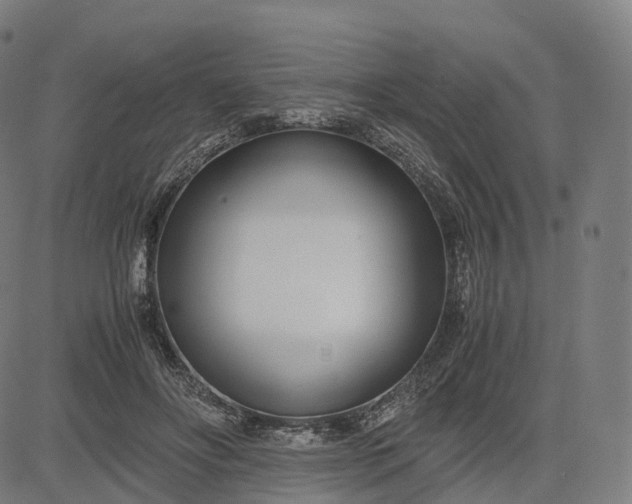 X0000083060502200702161800