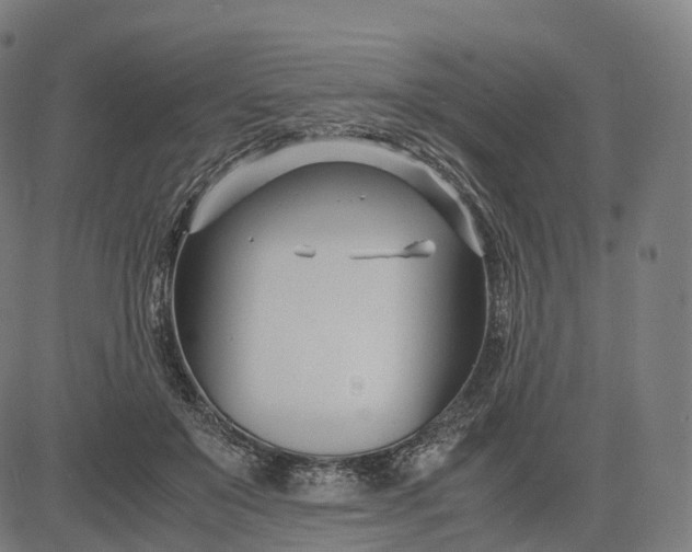 X0000083060503200702161800