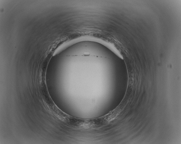 X0000083060504200702161800