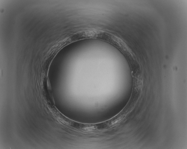 X0000083060505200702161800