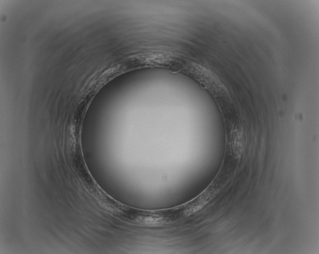 X0000083060506200702161800