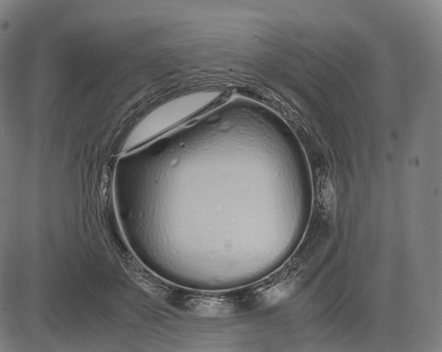 X0000083060507200702161800