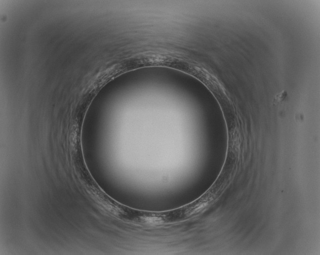 X0000083060509200702161800