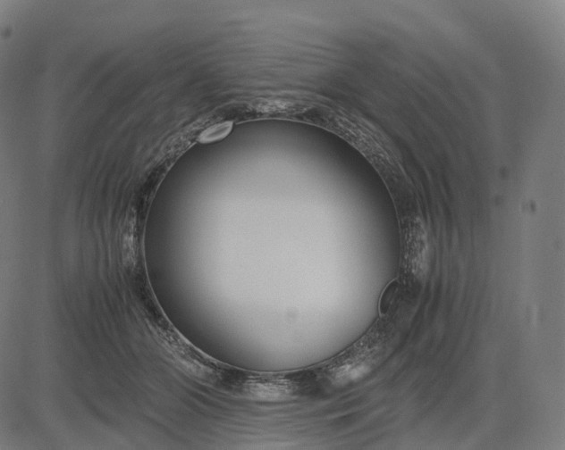 X0000083060510200702161800