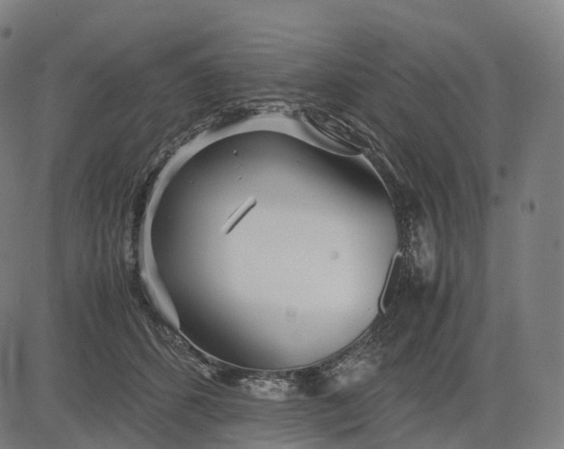 X0000083060512200702161800