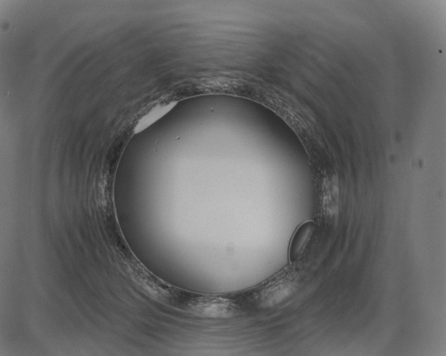 X0000083060514200702161800