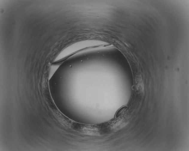 X0000083060515200702161800