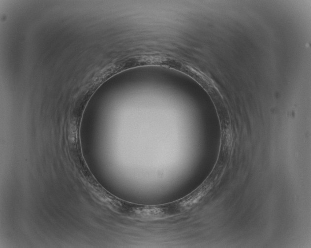 X0000083060517200702161800