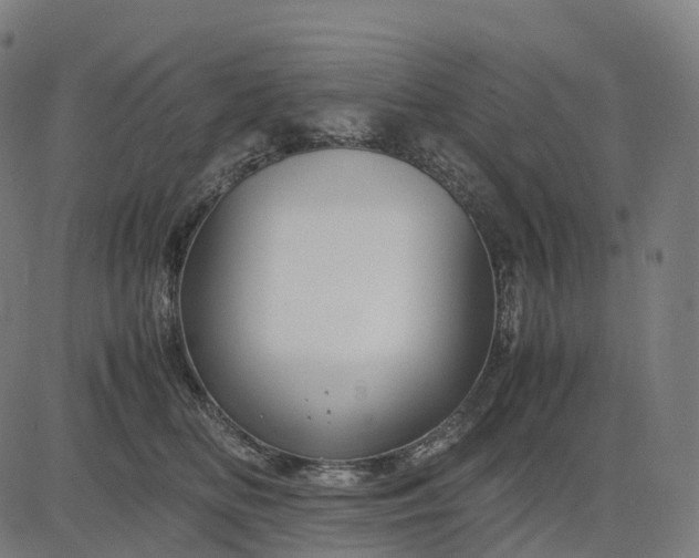 X0000083060518200702161800