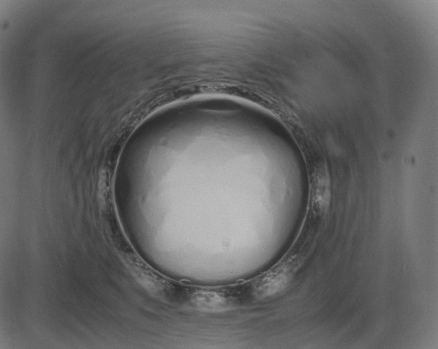 X0000083060519200702161800