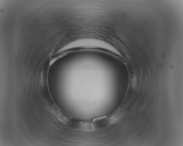 X0000083060520200702161800