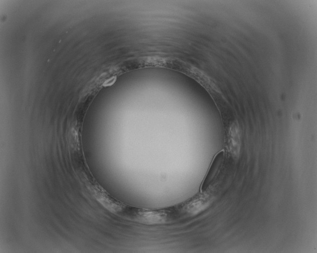 X0000083060522200702161800